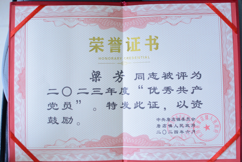 荣誉证书（网站）.jpg